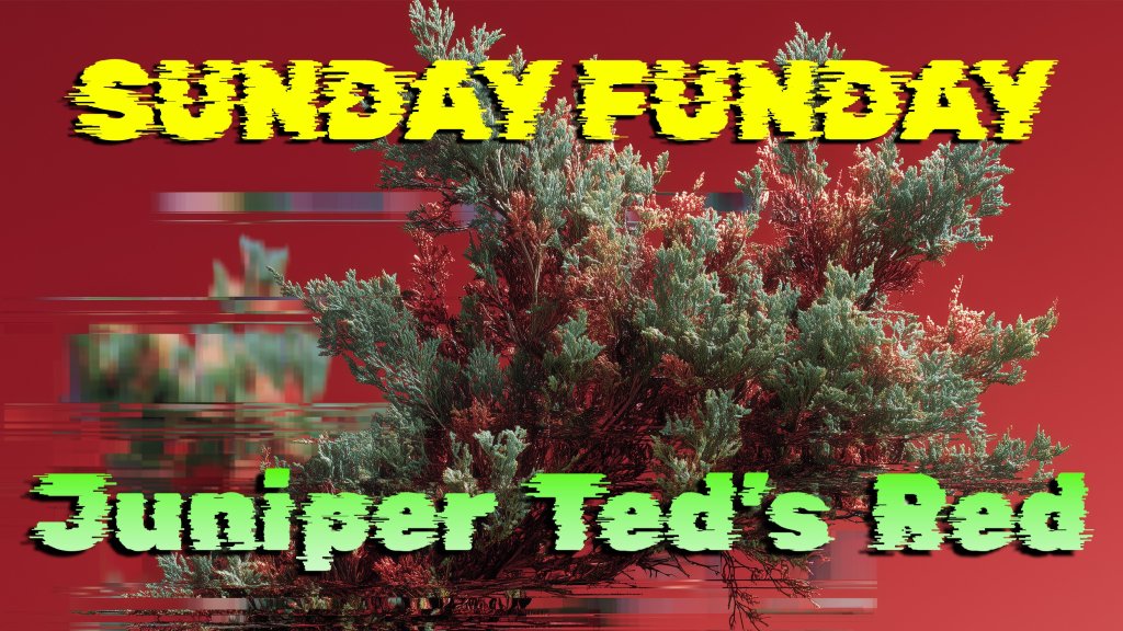 Sunday Funday: Juniper Ted’s Red